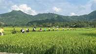 Từ du lịch cộng đồng đến quản trị cộng đồng ở Tuyên Quang