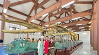 Nhà trưng bày bộ xương cá ông đảo Lý Sơn hút khách
