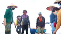 Được mùa ruốc biển, ngư dân Quảng Ngãi kiếm tiền triệu mỗi ngày