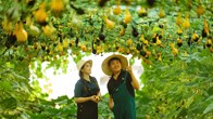 Quảng Ngãi đón sóng du khách, doanh thu du lịch tăng mạnh