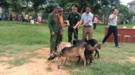 Trao sinh kế, tiếp thêm động lực cho hộ nghèo vùng biên Keng Đu