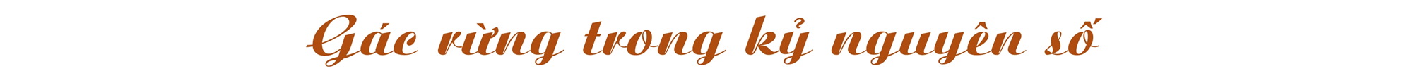 Kỳ cuối - Gắn đời với rừng - ảnh 6