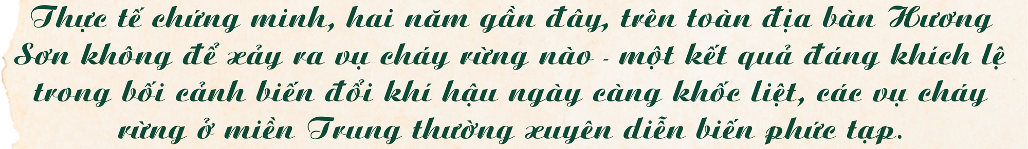 Kỳ cuối - Gắn đời với rừng - ảnh 10