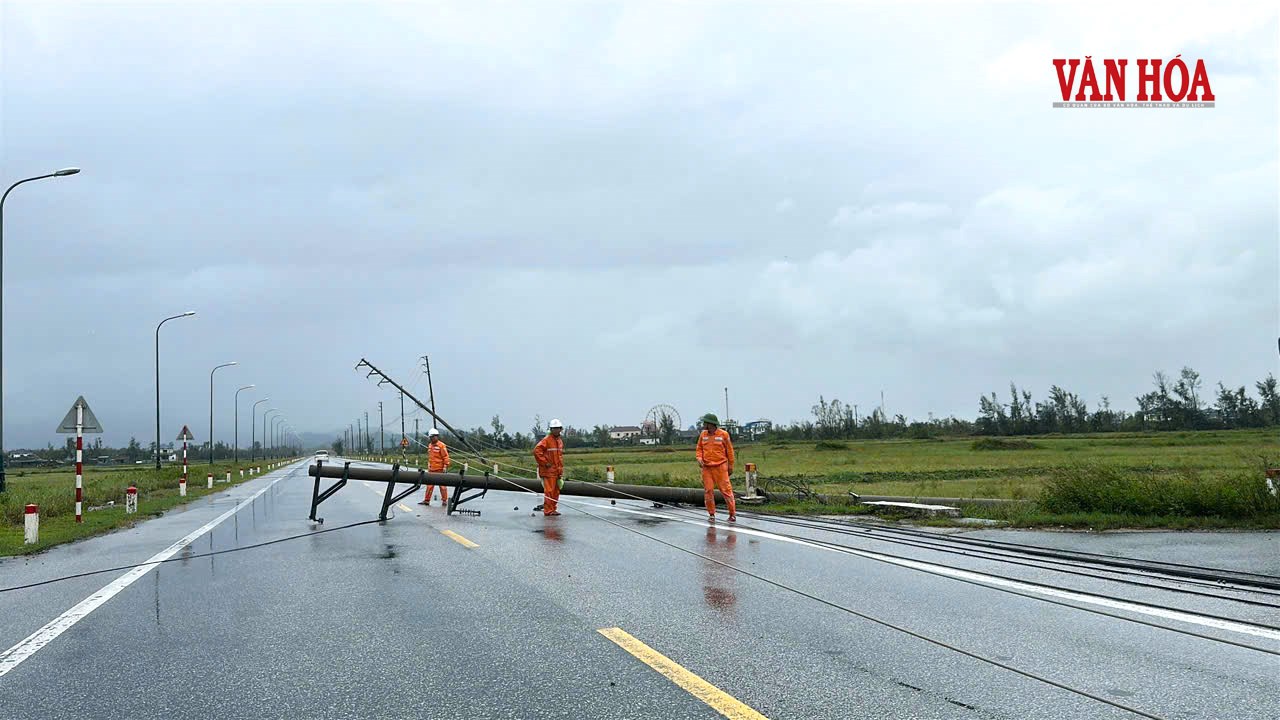 Hệ thống cột điện trên đường ven biển đổ rạp sau bão số 10 - ảnh 8