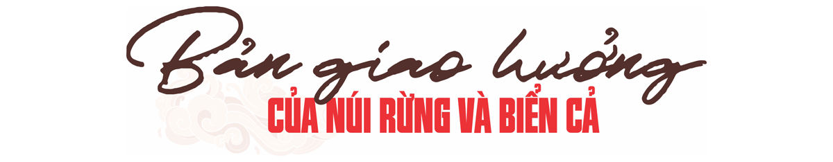 Bản giao hưởng của núi rừng và biển cả