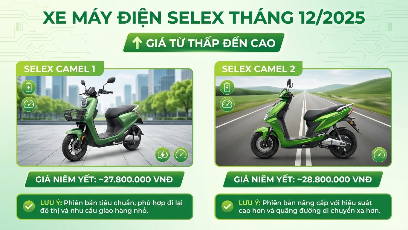 Top 10 thương hiệu xe máy điện dẫn đầu thị trường Việt Nam - ảnh 9