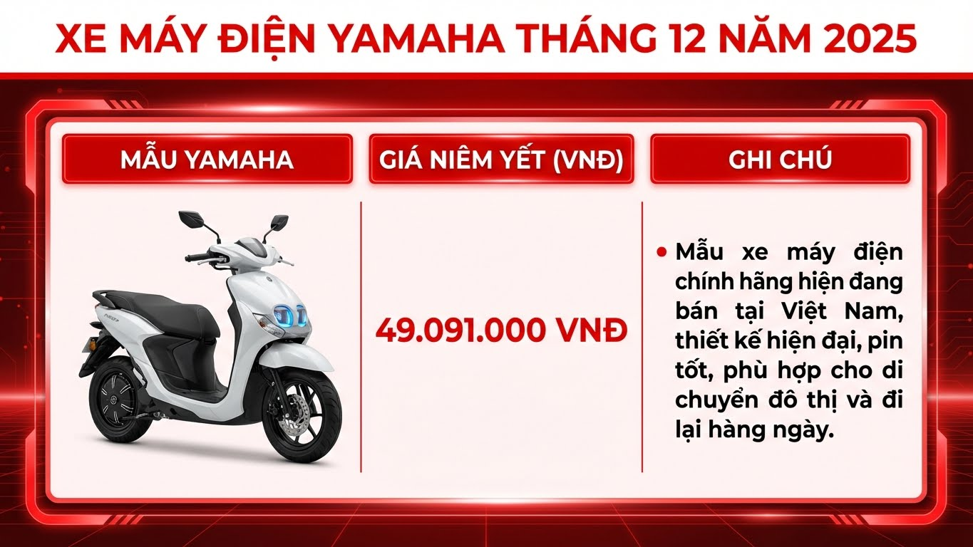 Top 10 thương hiệu xe máy điện dẫn đầu thị trường Việt Nam - ảnh 8