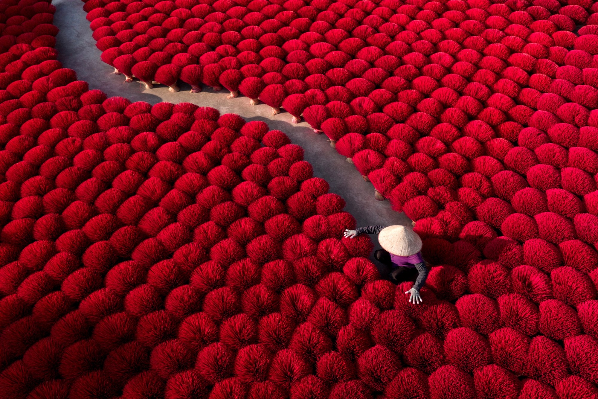 Nhiếp ảnh - “quyền lực mềm” trong kiến tạo hình ảnh quốc gia - ảnh 5