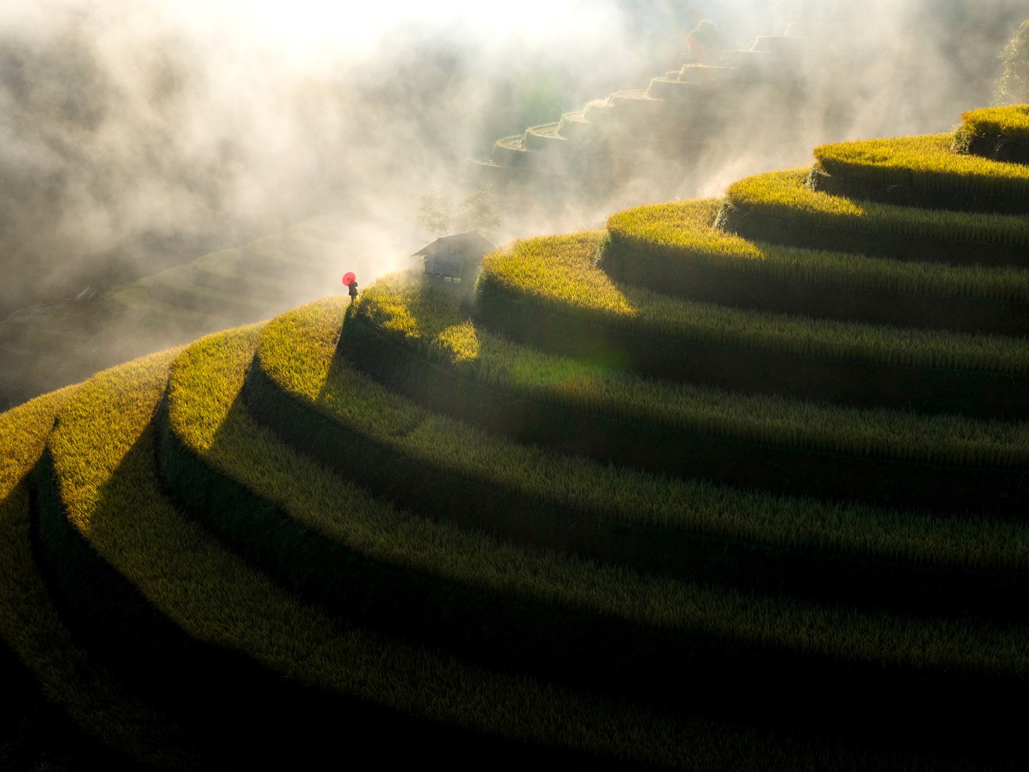 Nhiếp ảnh - “quyền lực mềm” trong kiến tạo hình ảnh quốc gia - ảnh 2