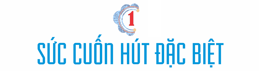 Trái tim một “ông Tây Việt Nam” - ảnh 2