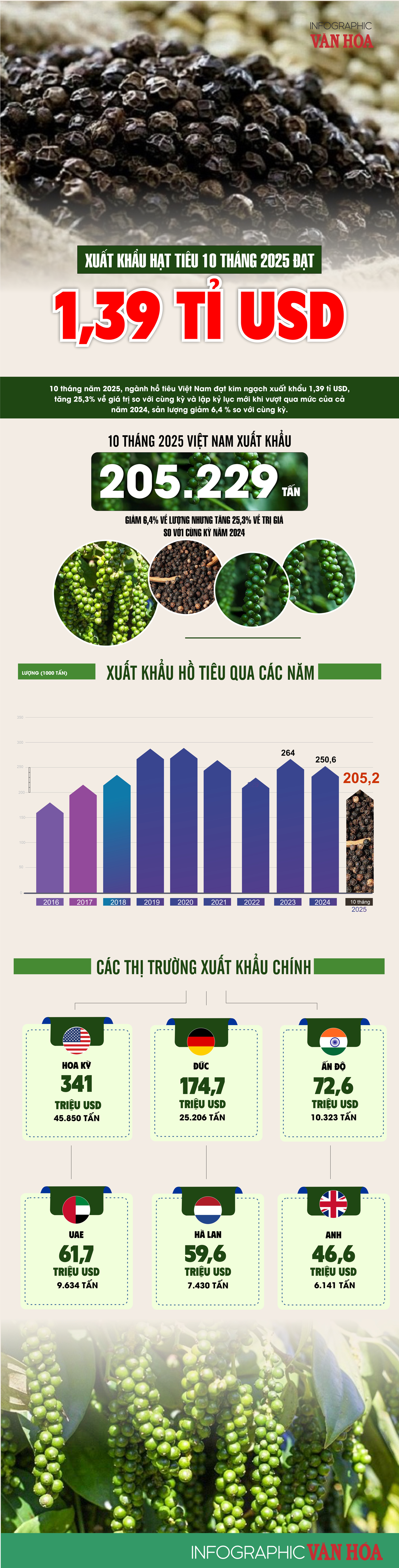 (Infographic) Xuất khẩu hạt tiêu lập kỷ lục mới: Kim ngạch 1,39 tỉ USD trong 10 tháng - ảnh 1
