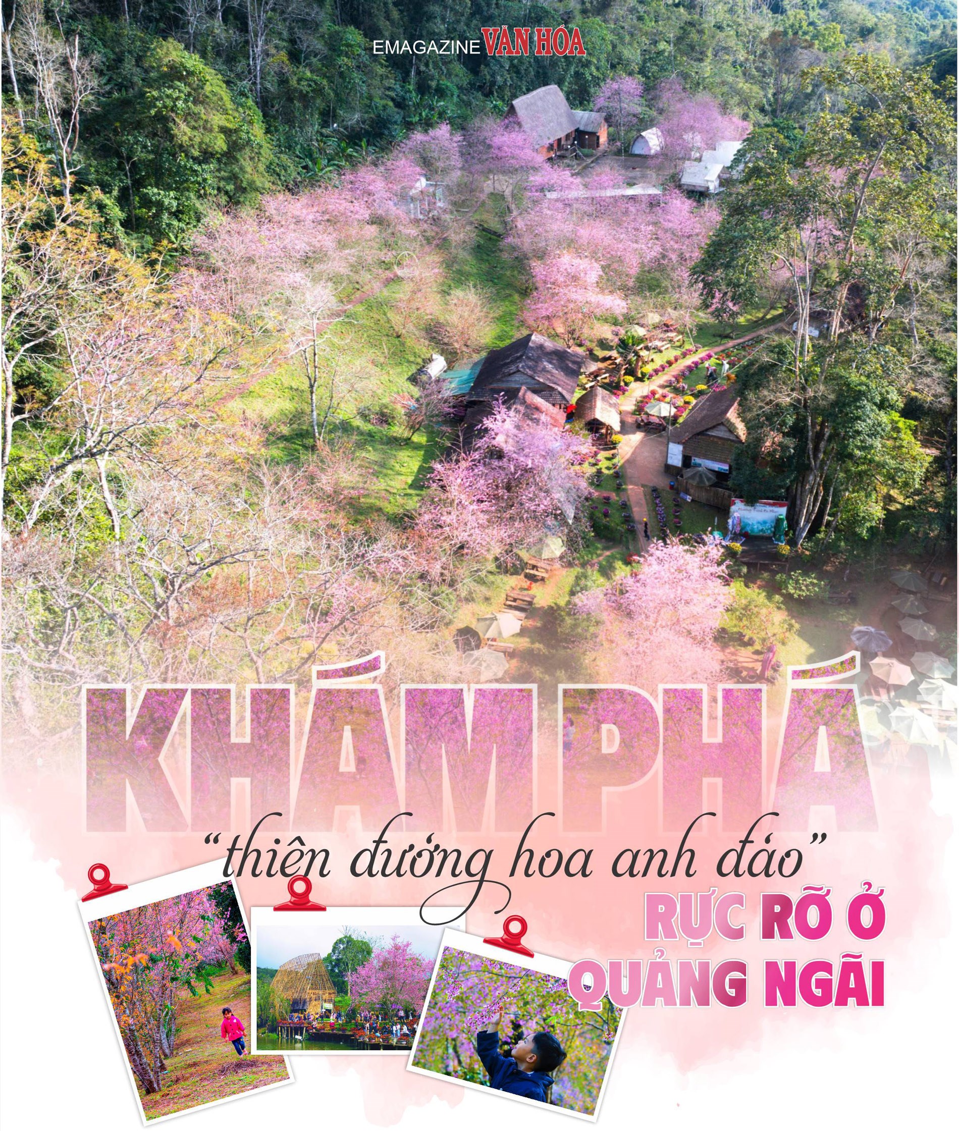 (Emagazine) Khám phá “thiên đường hoa anh đào” rực rỡ ở Quảng Ngãi - ảnh 1