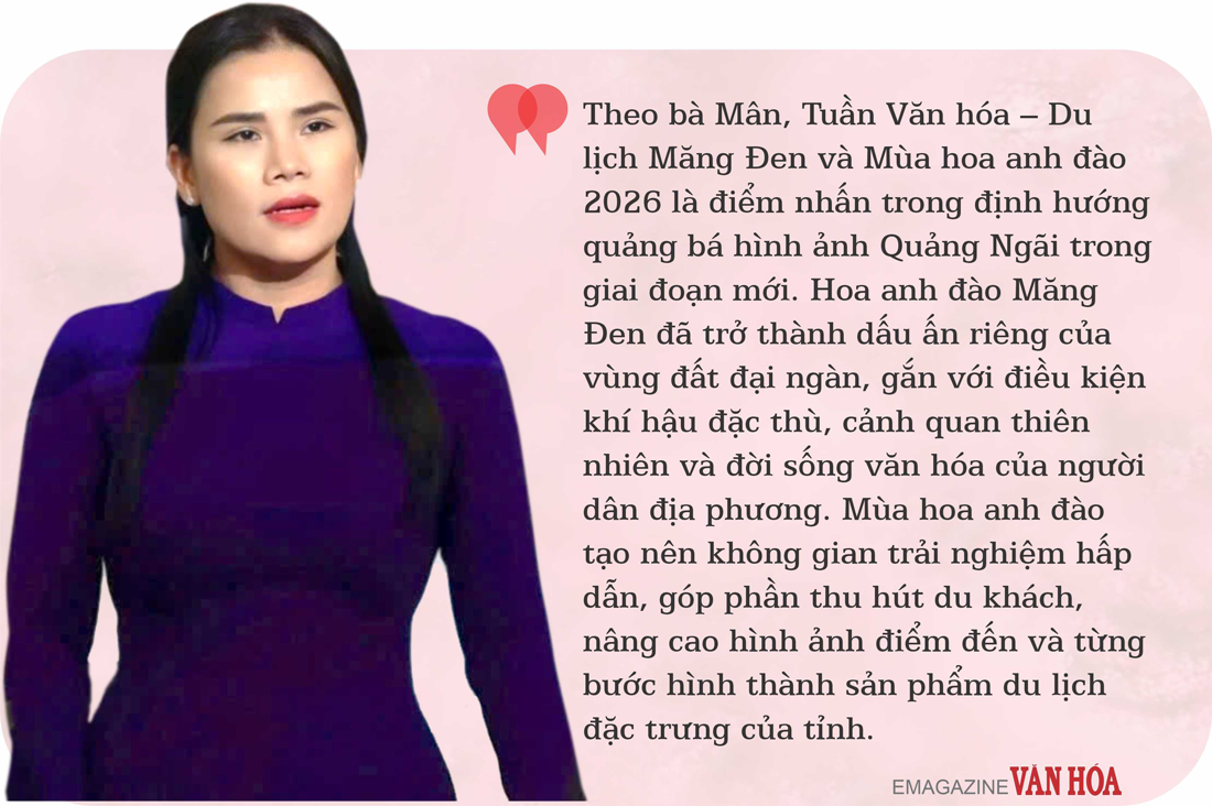 (Emagazine) Khám phá “thiên đường hoa anh đào” rực rỡ ở Quảng Ngãi - ảnh 10