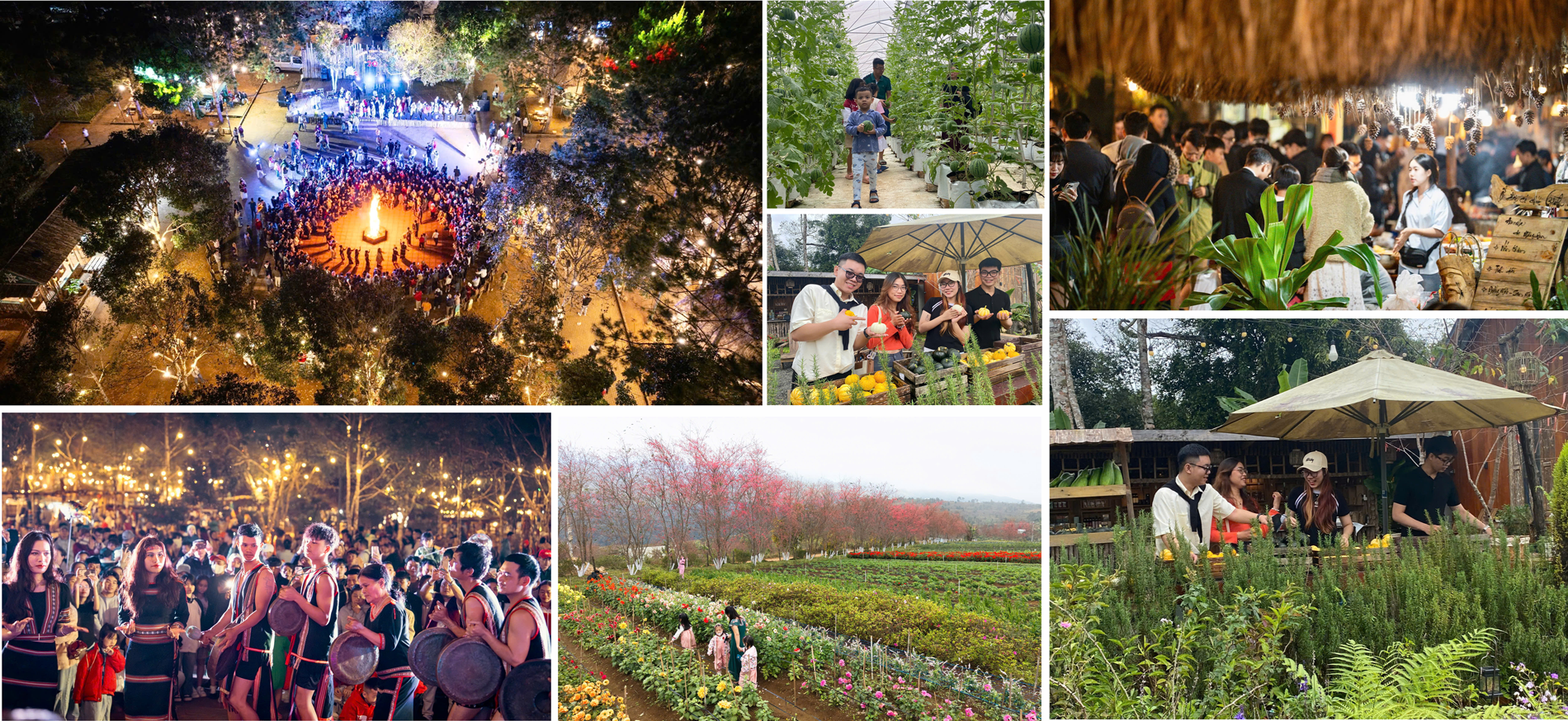 (Emagazine) Khám phá “thiên đường hoa anh đào” rực rỡ ở Quảng Ngãi - ảnh 7