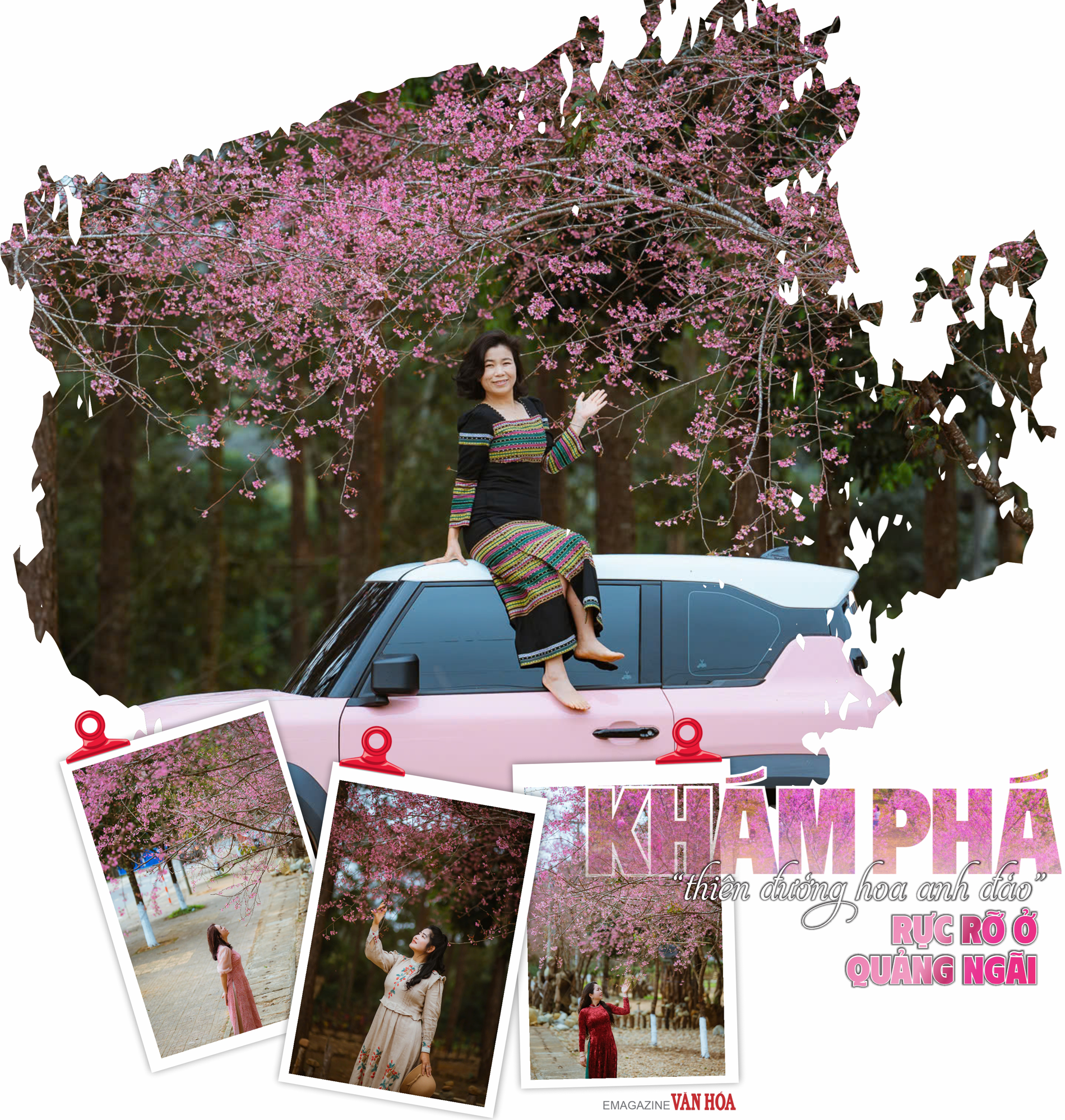 (Emagazine) Khám phá “thiên đường hoa anh đào” rực rỡ ở Quảng Ngãi - ảnh 3