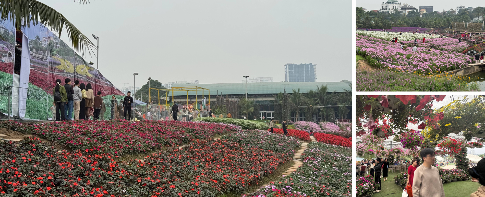 (Emagazine) Hà Nội trong nhịp du xuân đầu năm - ảnh 3