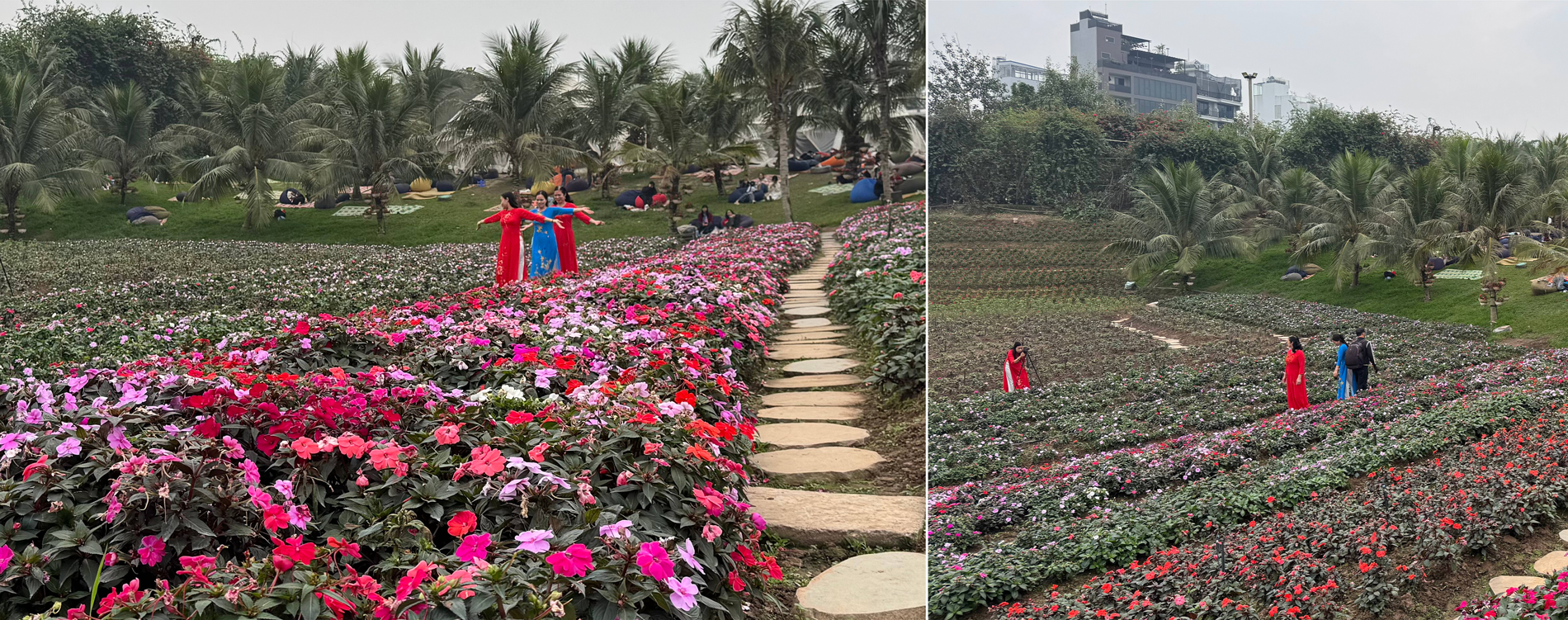 (Emagazine) Hà Nội trong nhịp du xuân đầu năm - ảnh 9