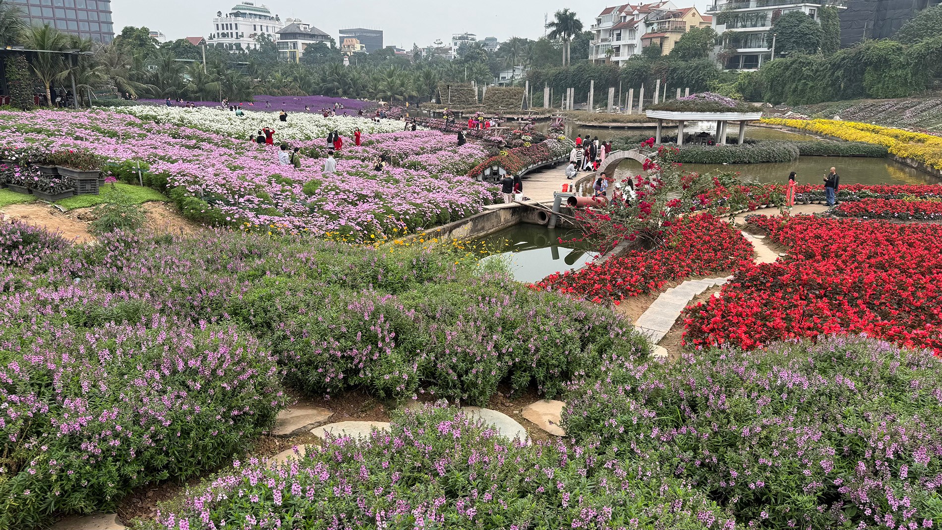 (Emagazine) Hà Nội trong nhịp du xuân đầu năm - ảnh 12