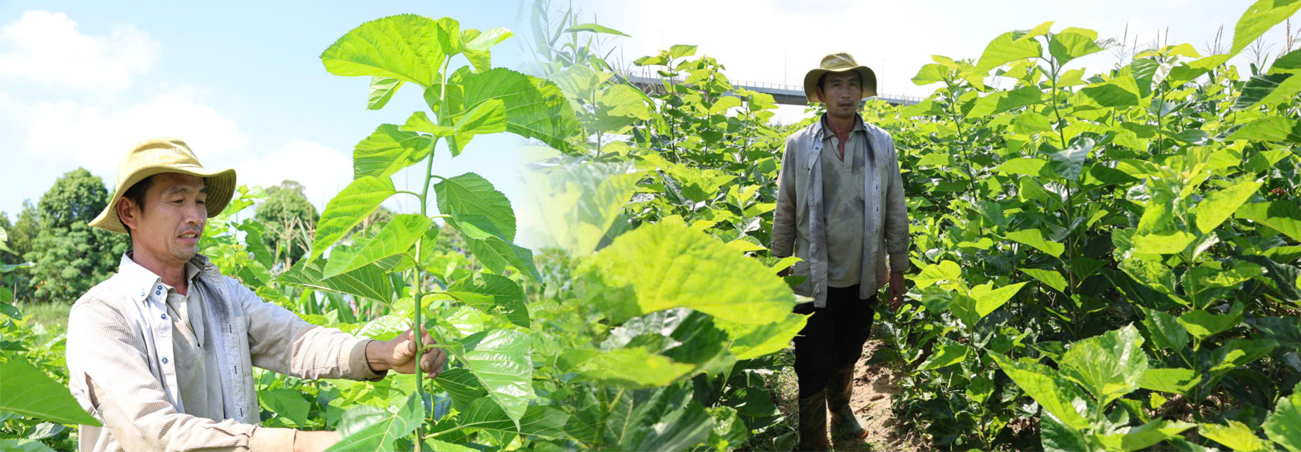 (Emagazine) Khi người trẻ “yêu lại” nghề xưa - ảnh 9