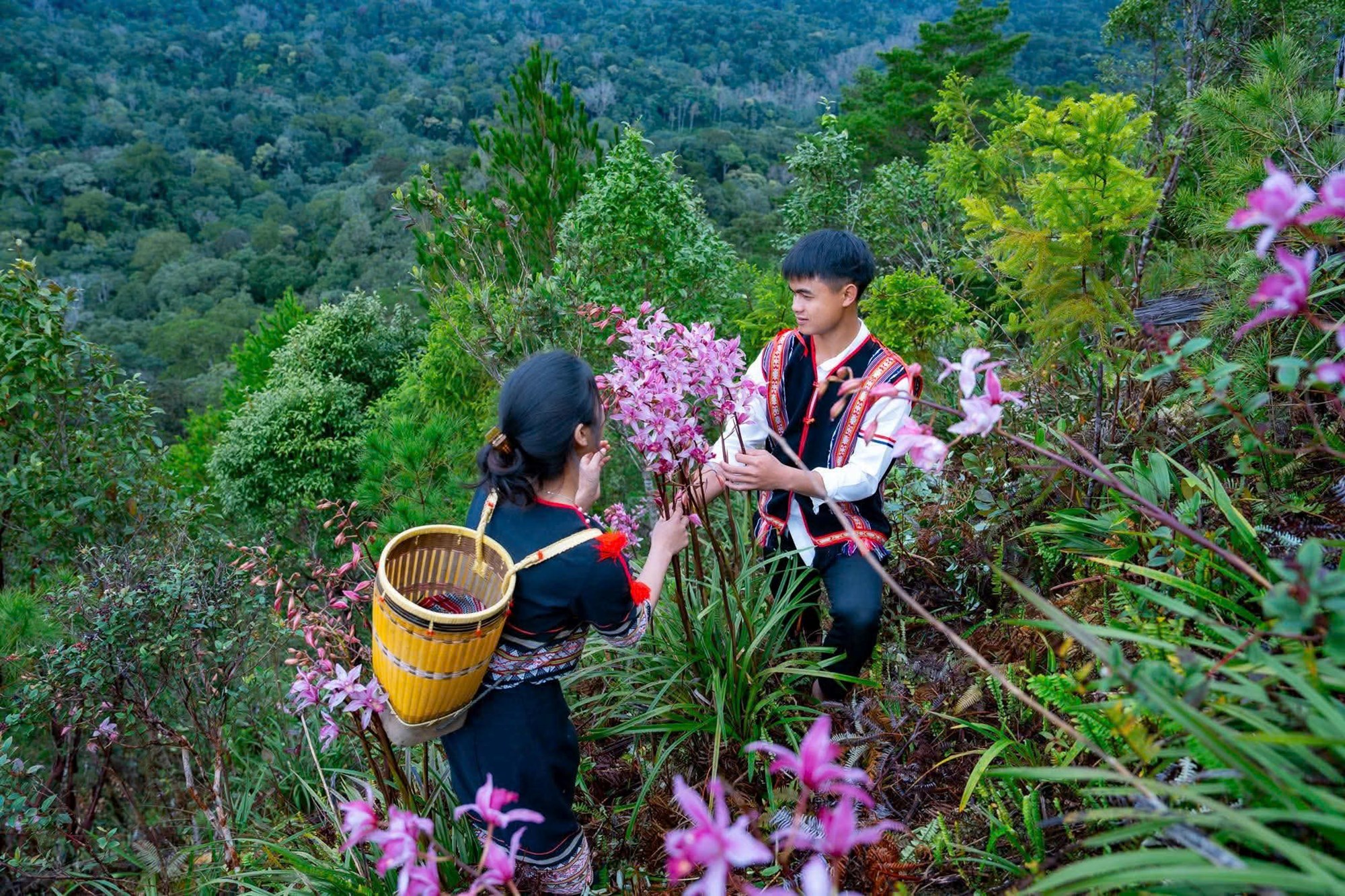 Rừng nguyên sinh Măng Đen