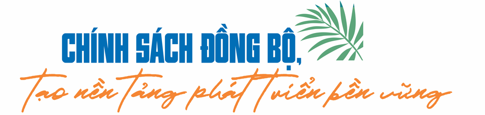 Chính sách đồng bộ, tạo nền tảng phát triển bền vững