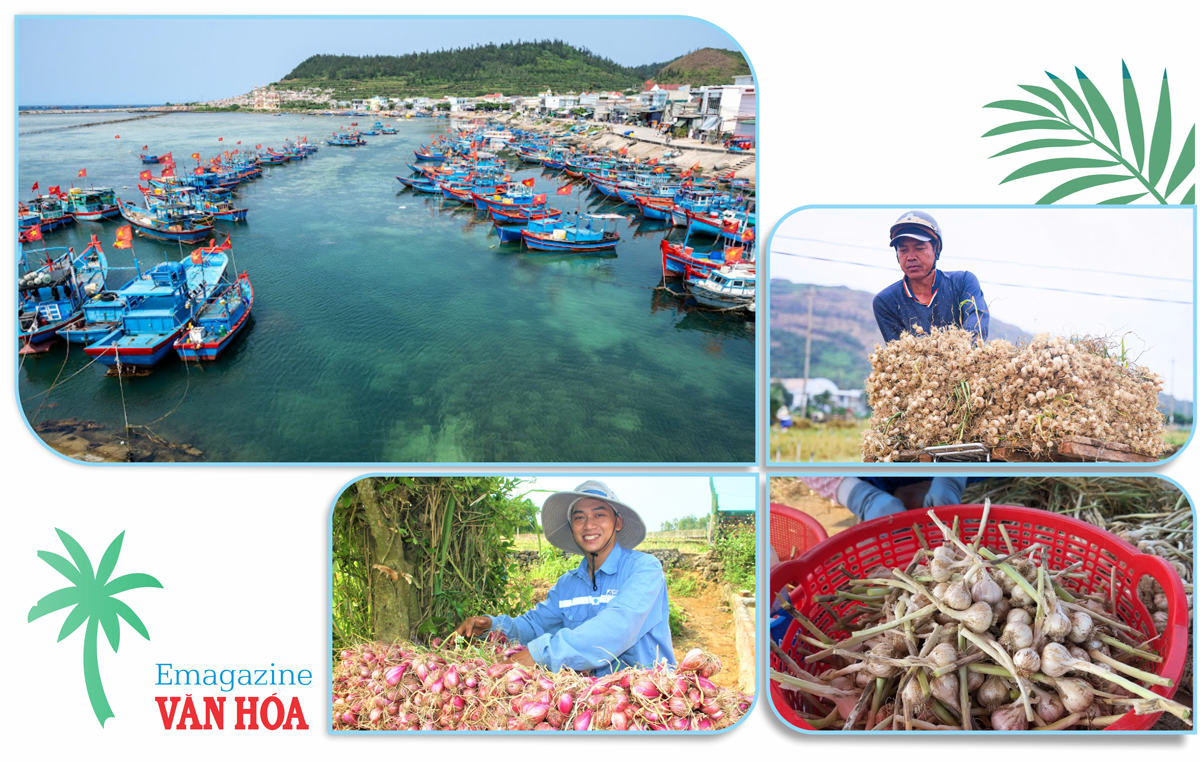 Đảo Lý Sơn Quảng Ngãi nổi tiếng với tỏi và cảnh quan thiên nhiên núi lửa hoang sơ