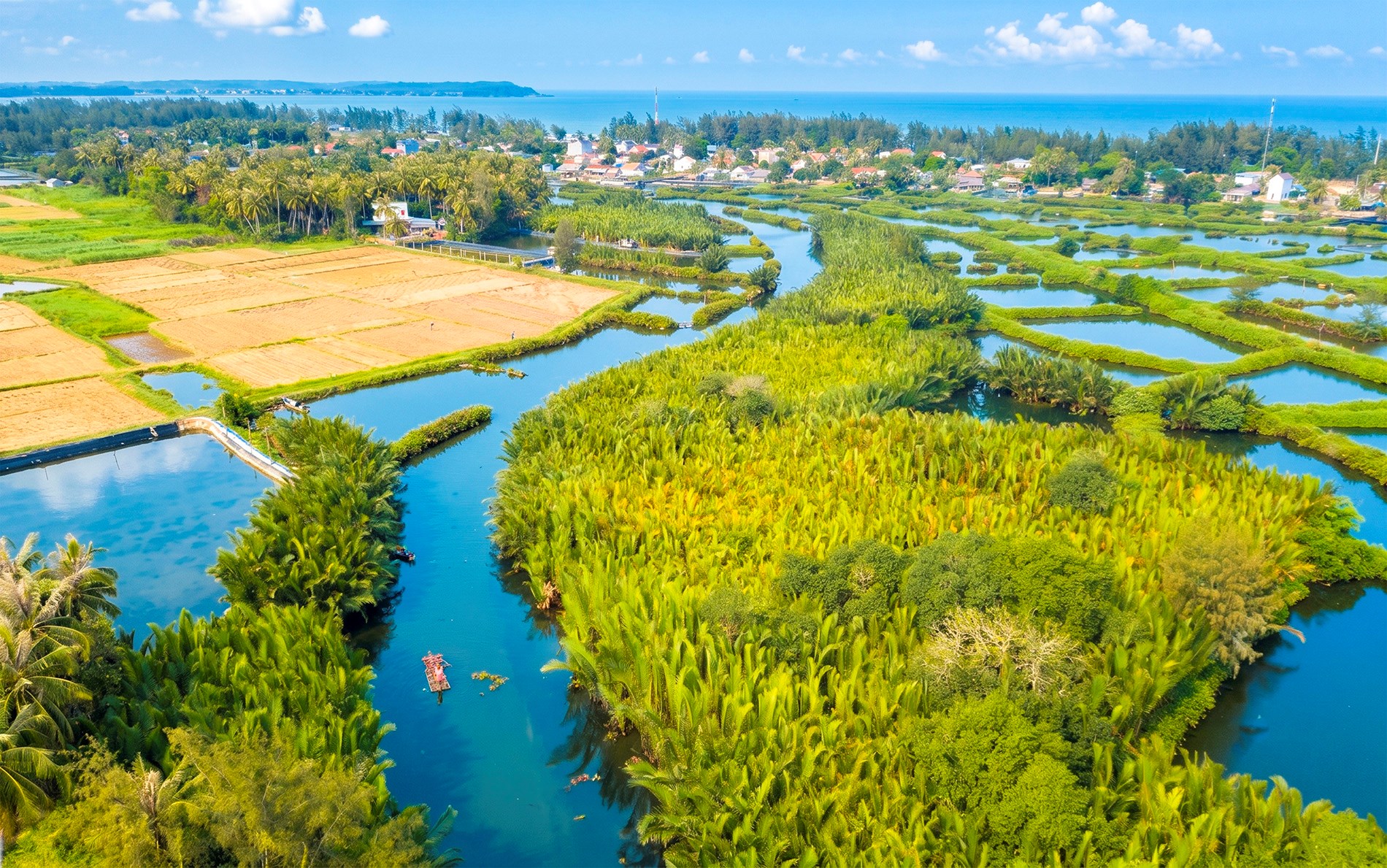 Rừng dừa nước Tịnh Khê mở ra tiềm năng phát triển du lịch sinh thái chất lượng cao