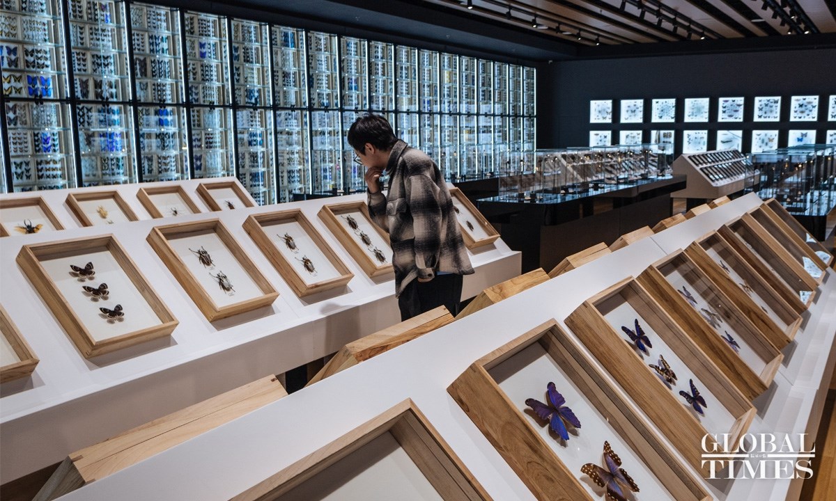 Bên trong Bảo tàng Côn trùng lớn nhất Bắc Kinh - ảnh 9
