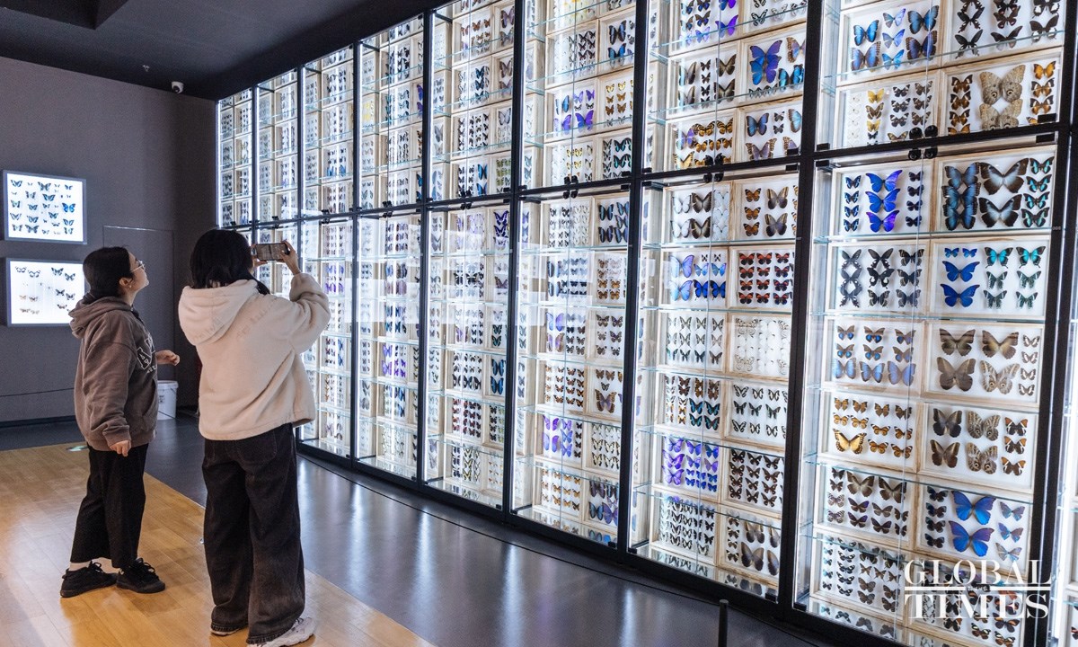 Bên trong Bảo tàng Côn trùng lớn nhất Bắc Kinh - ảnh 7