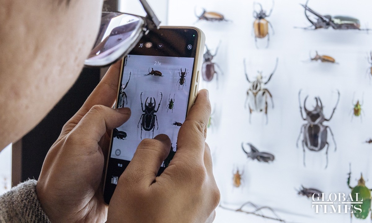 Bên trong Bảo tàng Côn trùng lớn nhất Bắc Kinh - ảnh 8