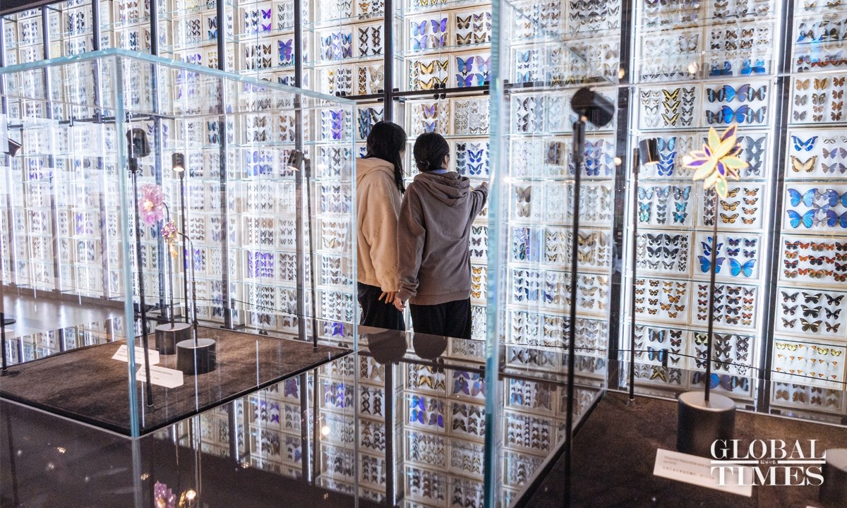 Bên trong Bảo tàng Côn trùng lớn nhất Bắc Kinh - ảnh 5