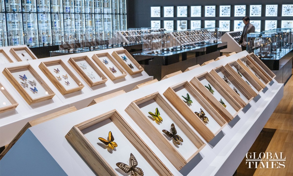 Bên trong Bảo tàng Côn trùng lớn nhất Bắc Kinh - ảnh 3