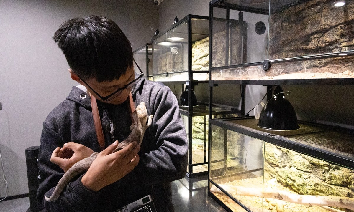 Bên trong Bảo tàng Côn trùng lớn nhất Bắc Kinh - ảnh 10