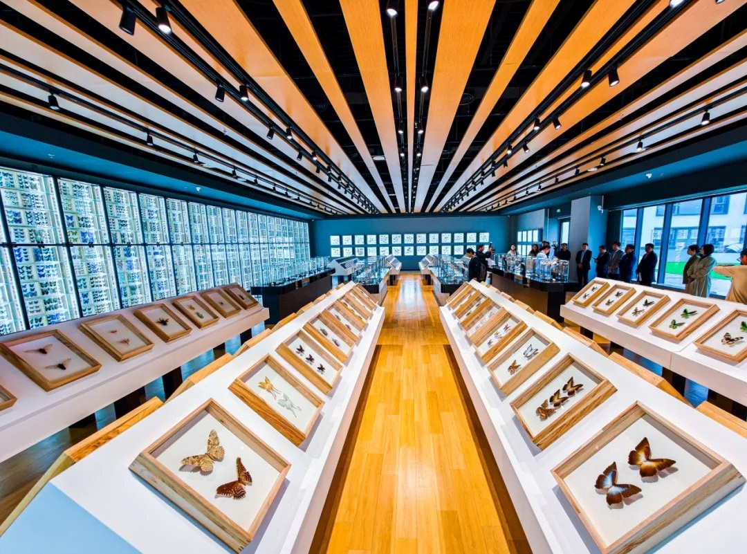 Bên trong Bảo tàng Côn trùng lớn nhất Bắc Kinh - ảnh 2