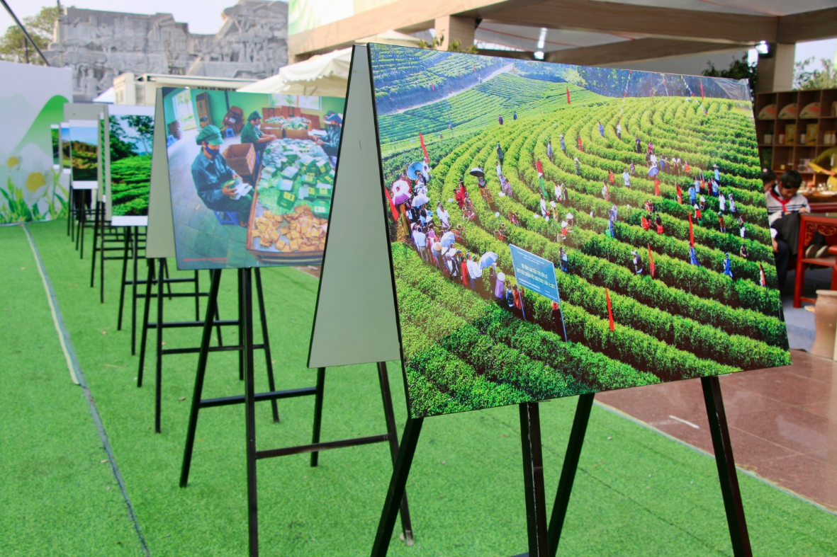 Biển người đổ về thưởng trà giữa quảng trường lớn nhất Thái Nguyên - ảnh 8