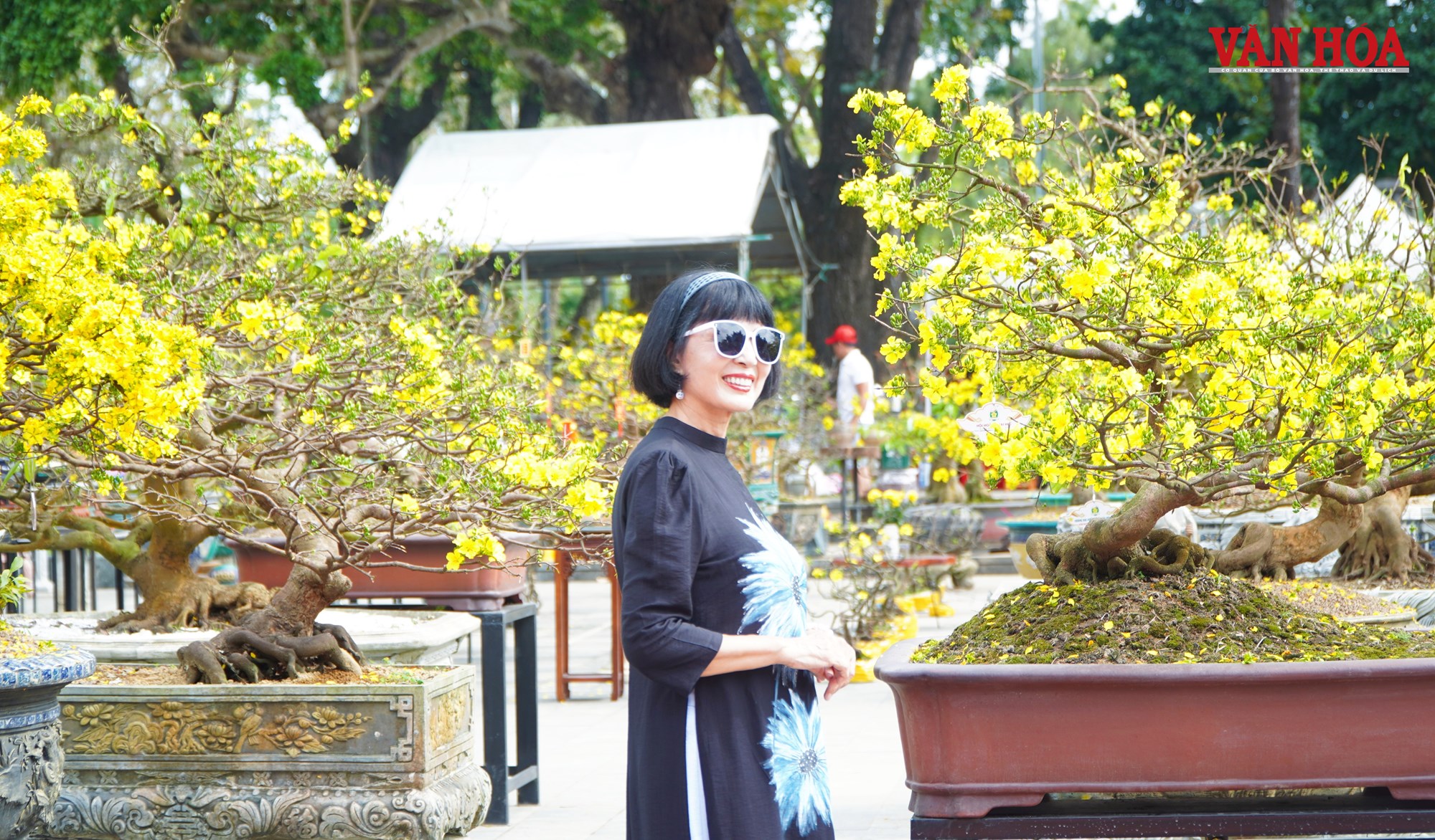 Ngắm những tuyệt tác Hoàng mai Huế bên dòng sông Hương - ảnh 10