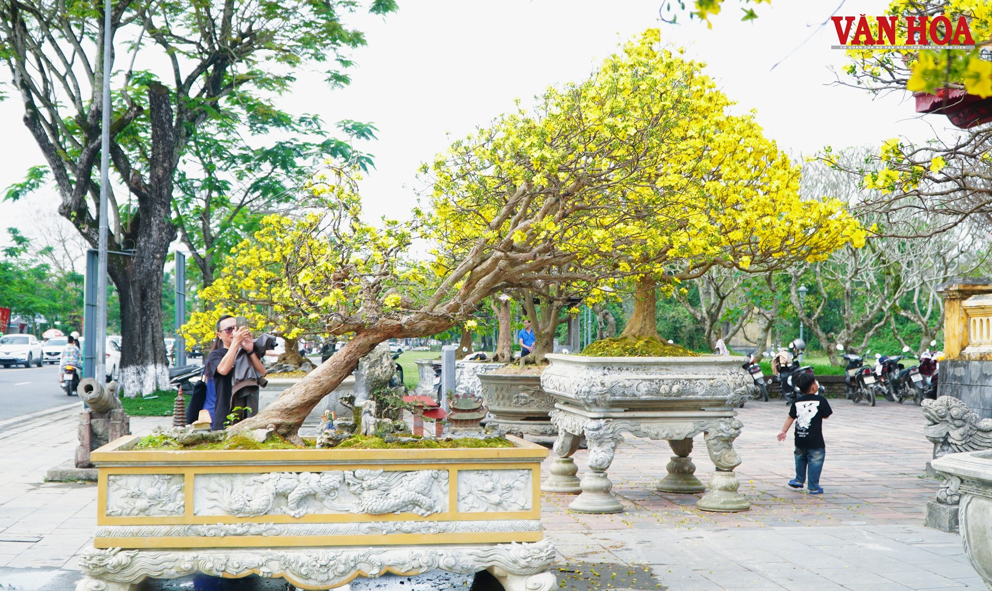 Ngắm những tuyệt tác Hoàng mai Huế bên dòng sông Hương - ảnh 6