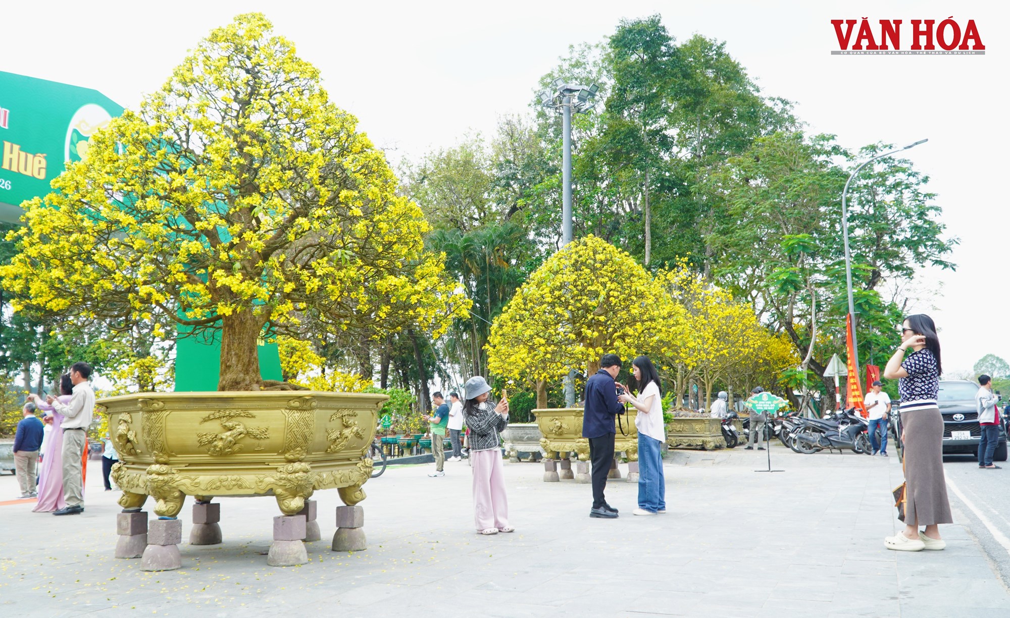 Ngắm những tuyệt tác Hoàng mai Huế bên dòng sông Hương - ảnh 11