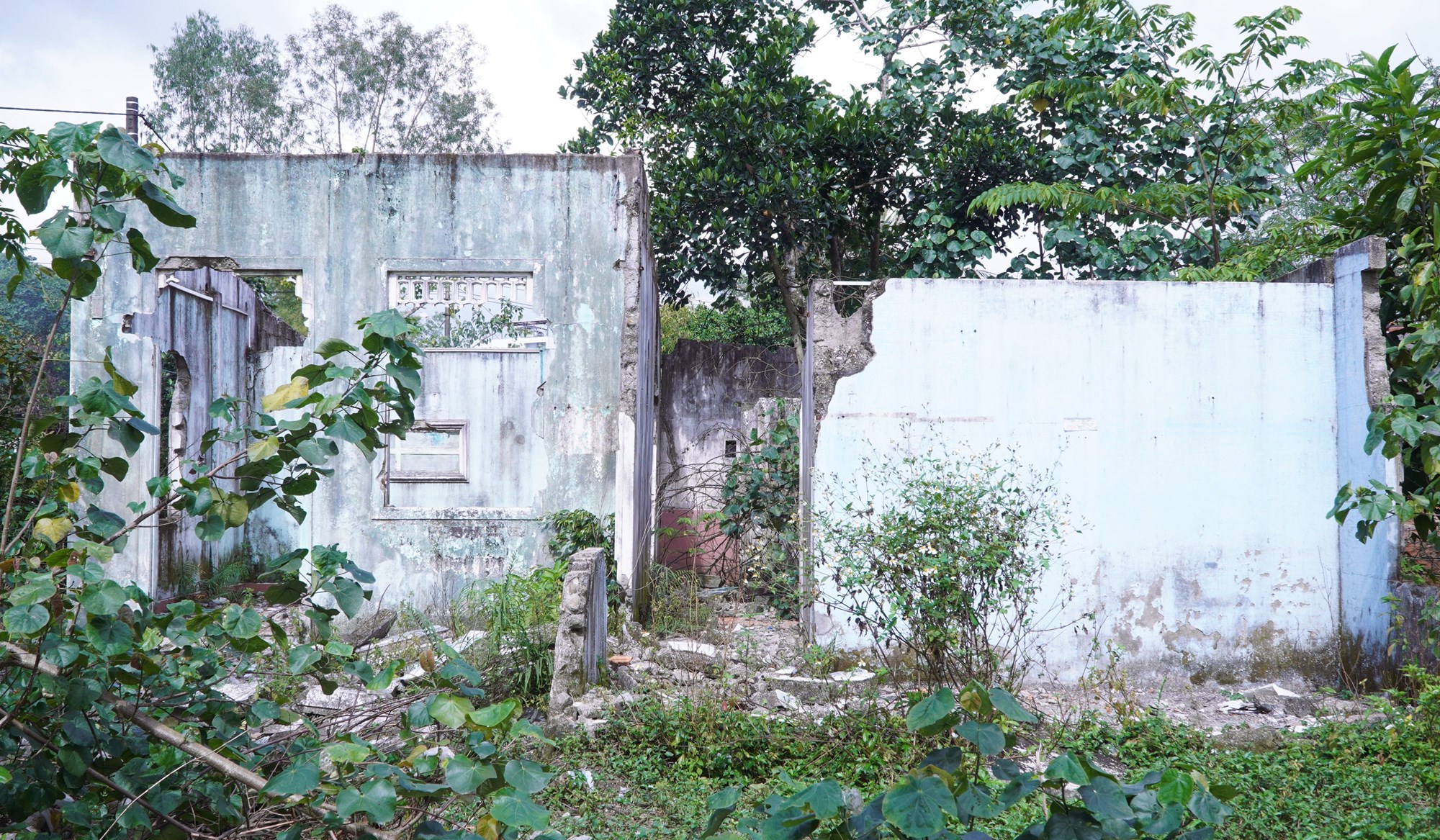 “Sống treo” hàng thập kỷ ở khu quy hoạch Đại học Huế  - ảnh 4