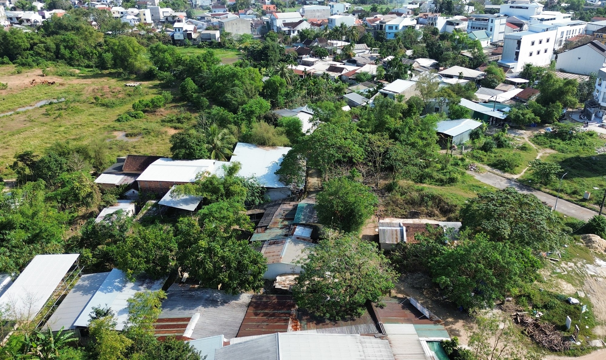 “Sống treo” hàng thập kỷ ở khu quy hoạch Đại học Huế  - ảnh 10