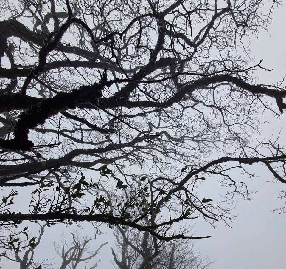 Phia Oắc mùa lạnh: Vương quốc băng giữa lòng Cao Bằng - ảnh 2