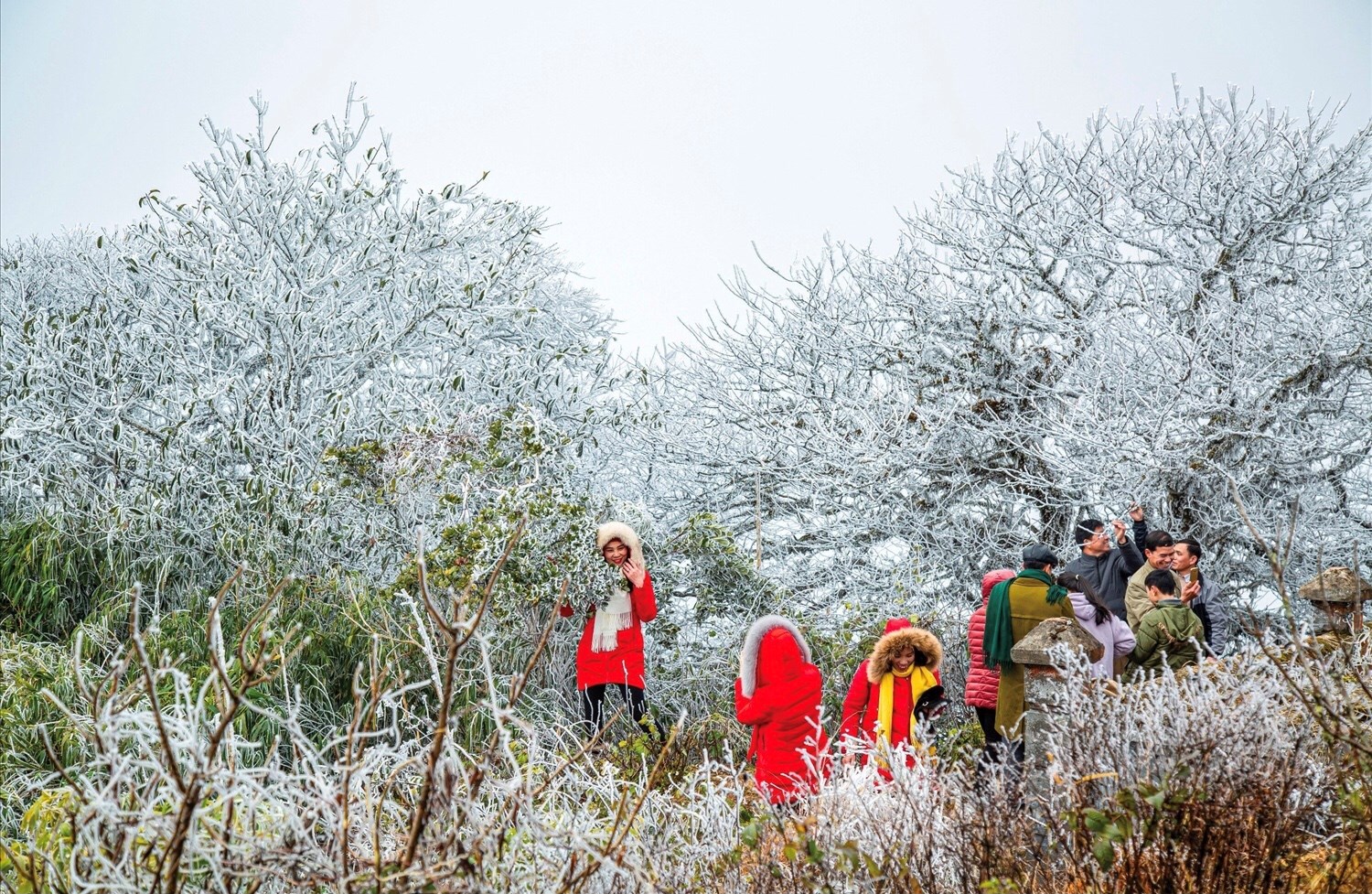 Phia Oắc mùa lạnh: Vương quốc băng giữa lòng Cao Bằng - ảnh 4