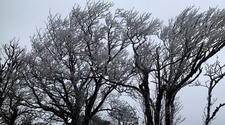 Phia Oắc mùa lạnh: Vương quốc băng giữa lòng Cao Bằng - ảnh 5