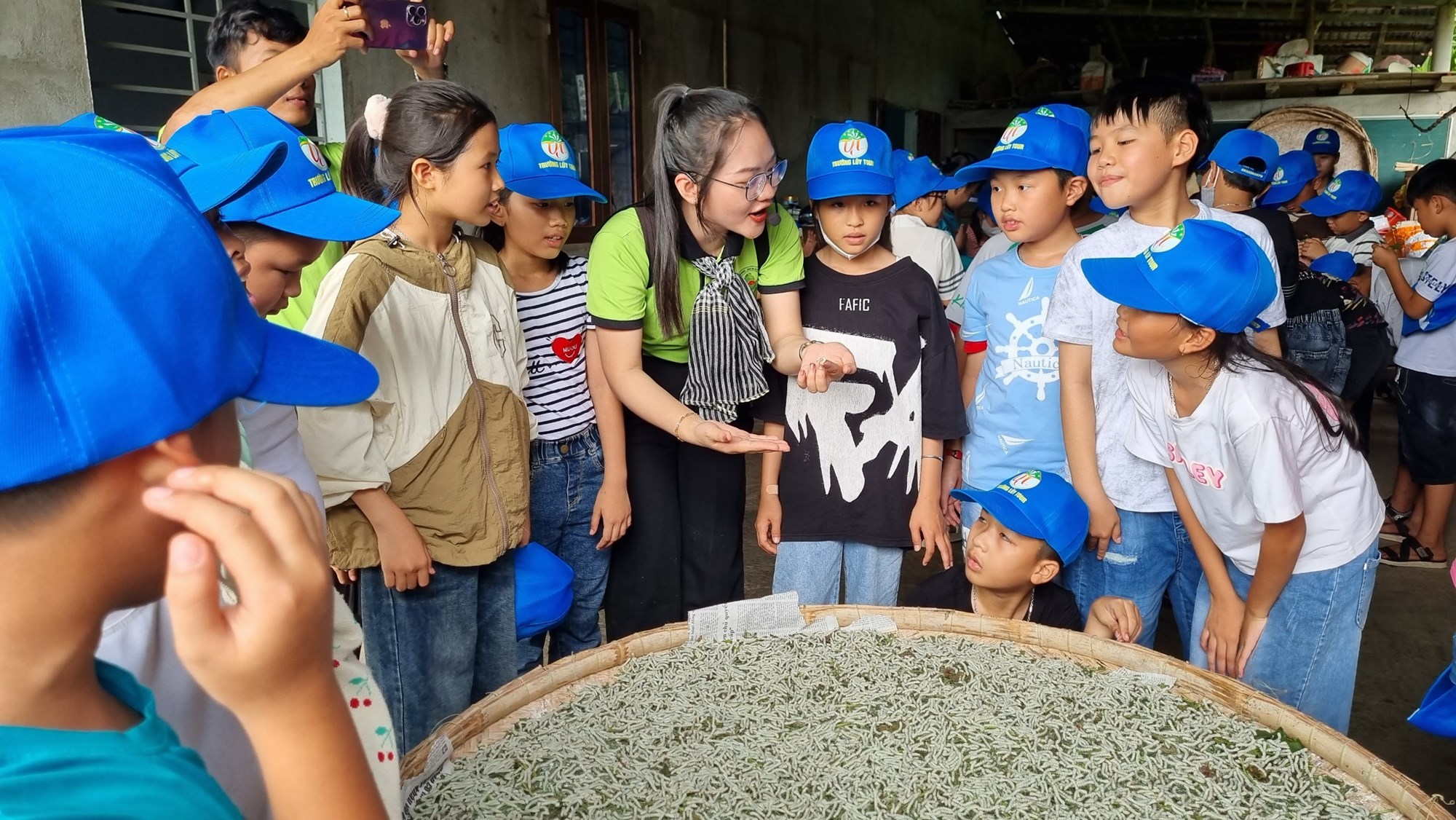 Khám phá làng nghề trồng dâu nuôi tằm - ảnh 2