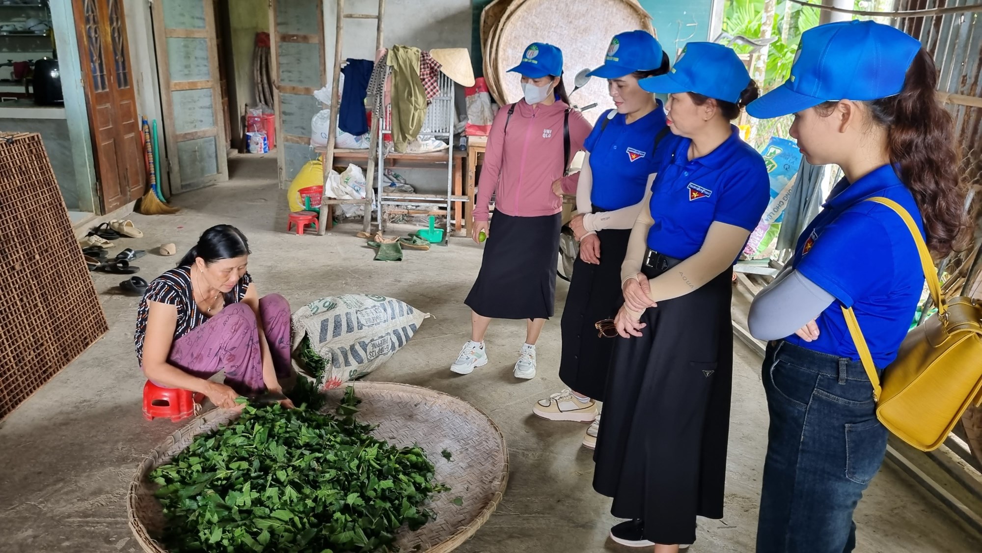 Khám phá làng nghề trồng dâu nuôi tằm - ảnh 3