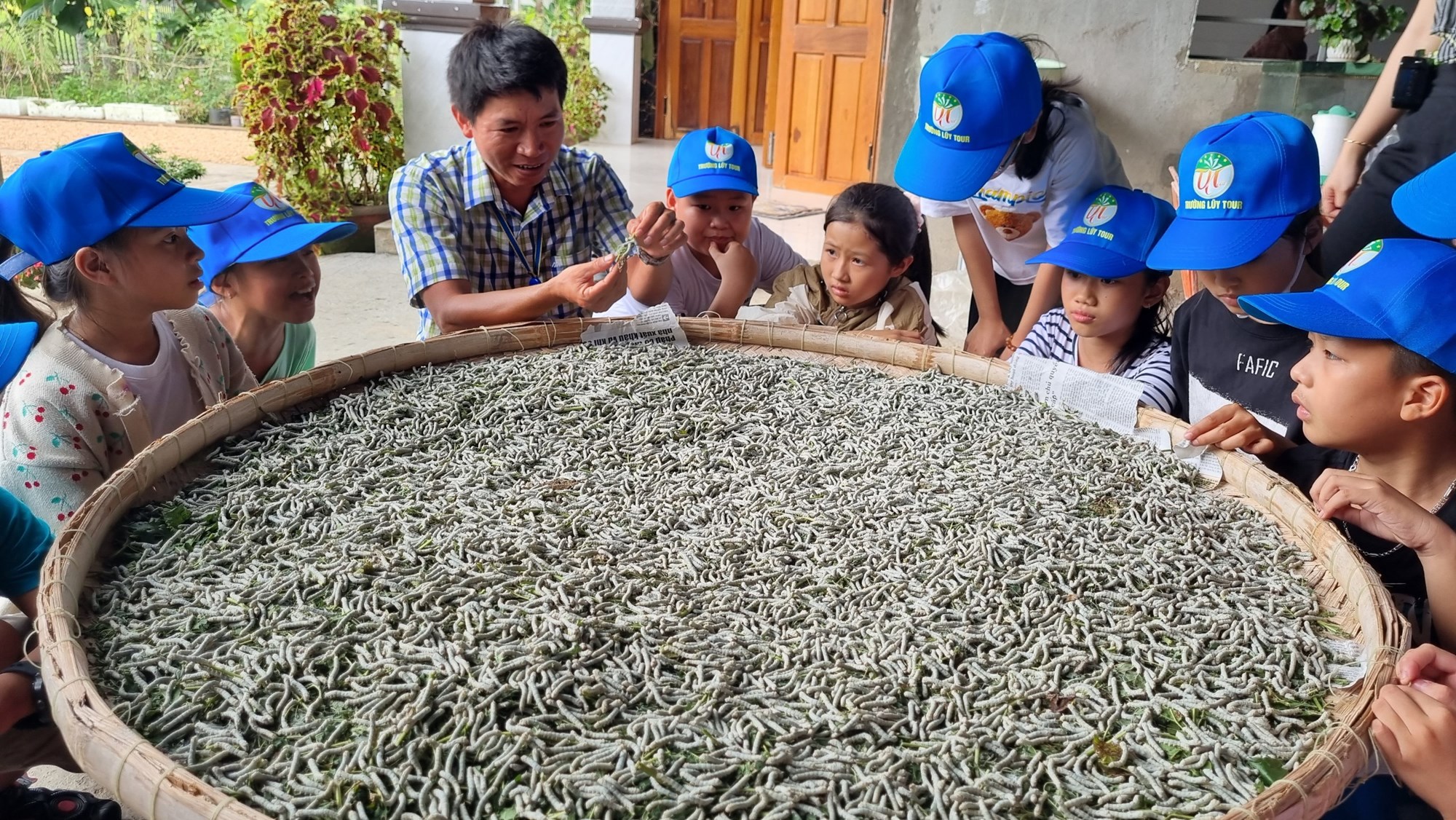 Khám phá làng nghề trồng dâu nuôi tằm - ảnh 1