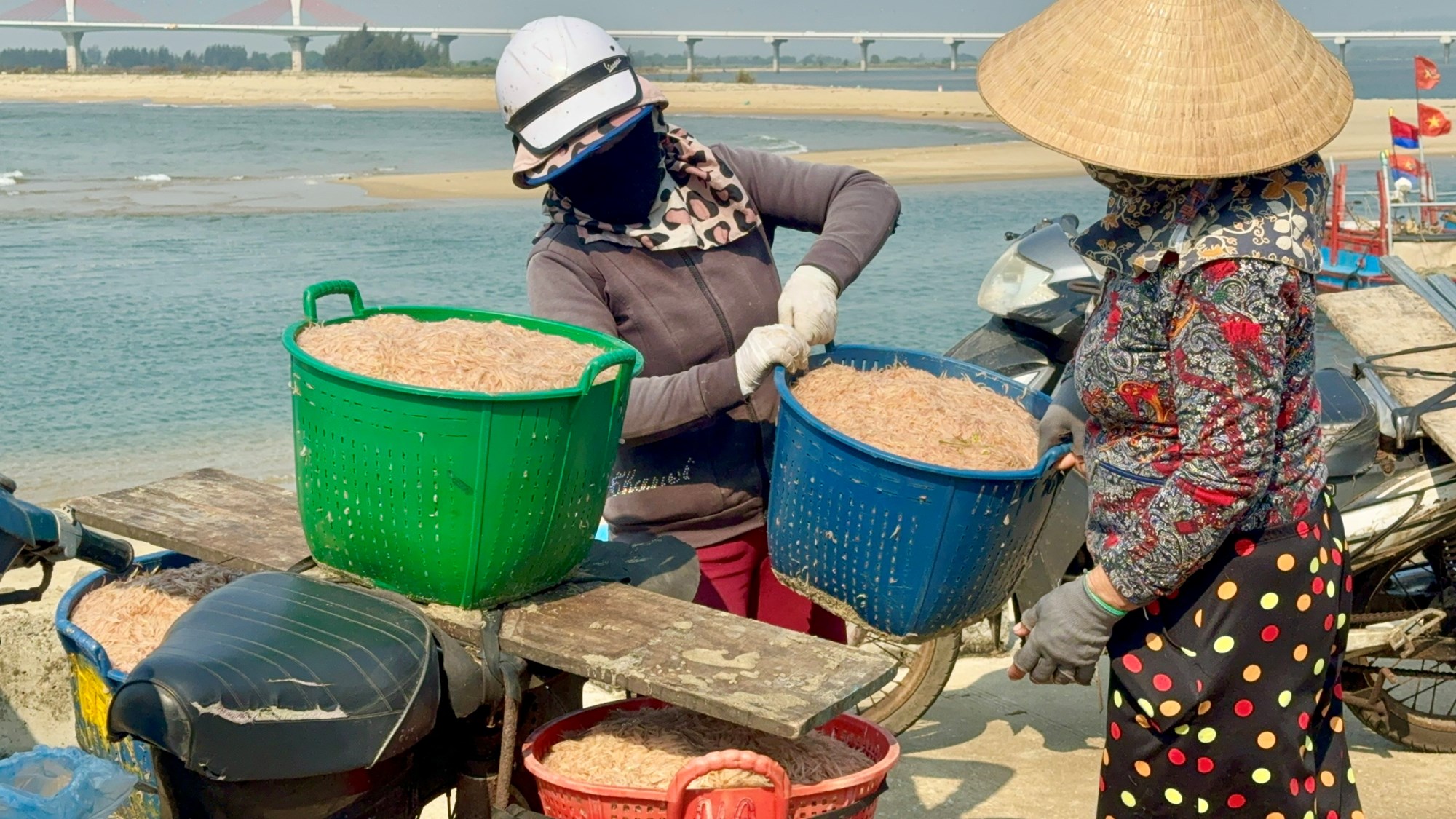 Trúng mùa ruốc biển, ngư dân thu tiền triệu mỗi ngày - ảnh 4