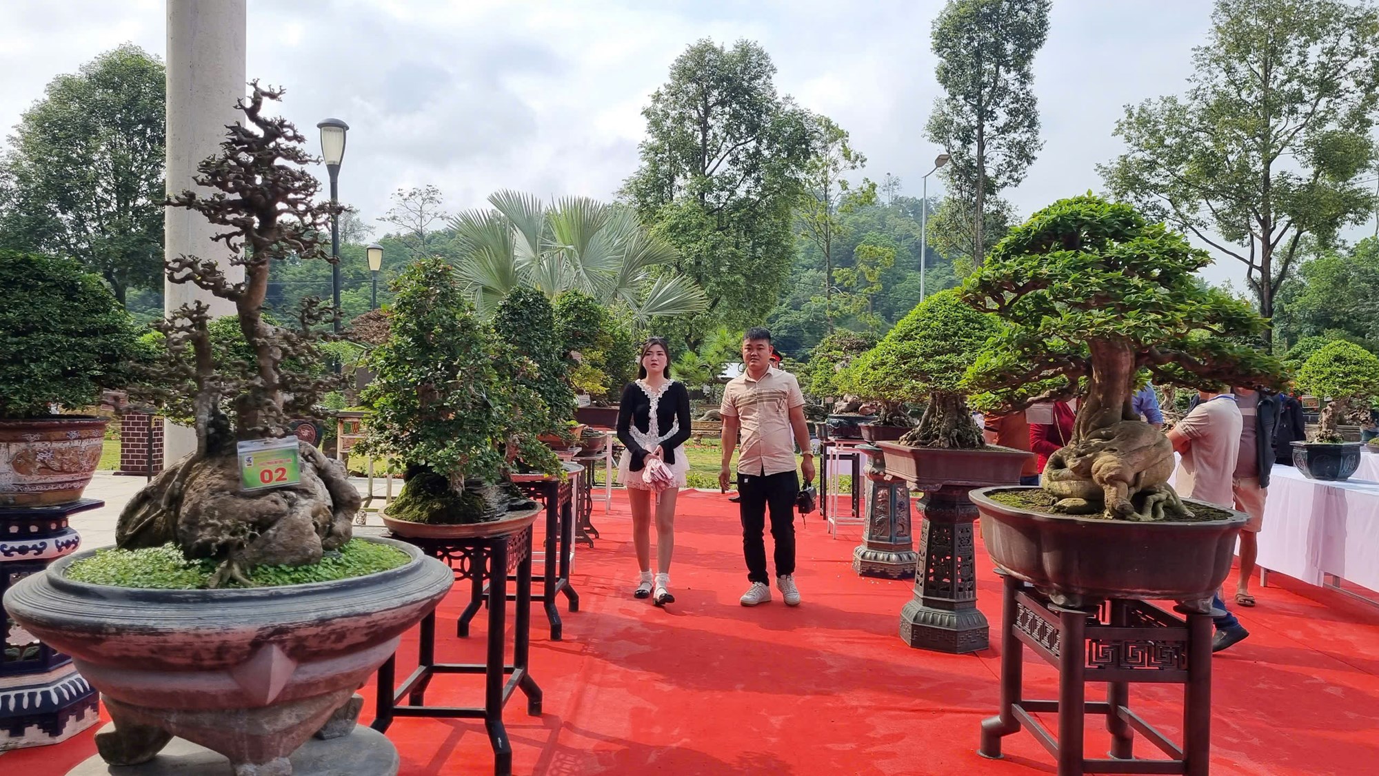 Hơn 1.000 tác phẩm tham gia Hội chợ sinh vật cảnh Quảng Ngãi - ảnh 7