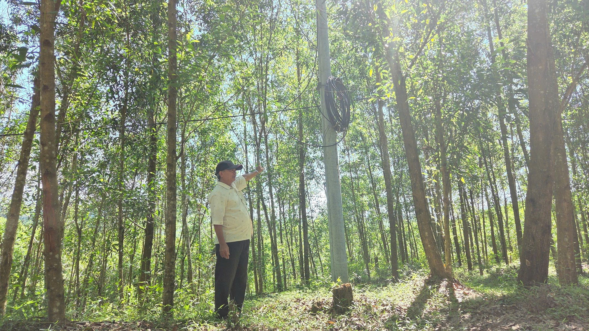 Người dân ở Gò Rạch và Kà La mòn mỏi chờ cấp điện - ảnh 1