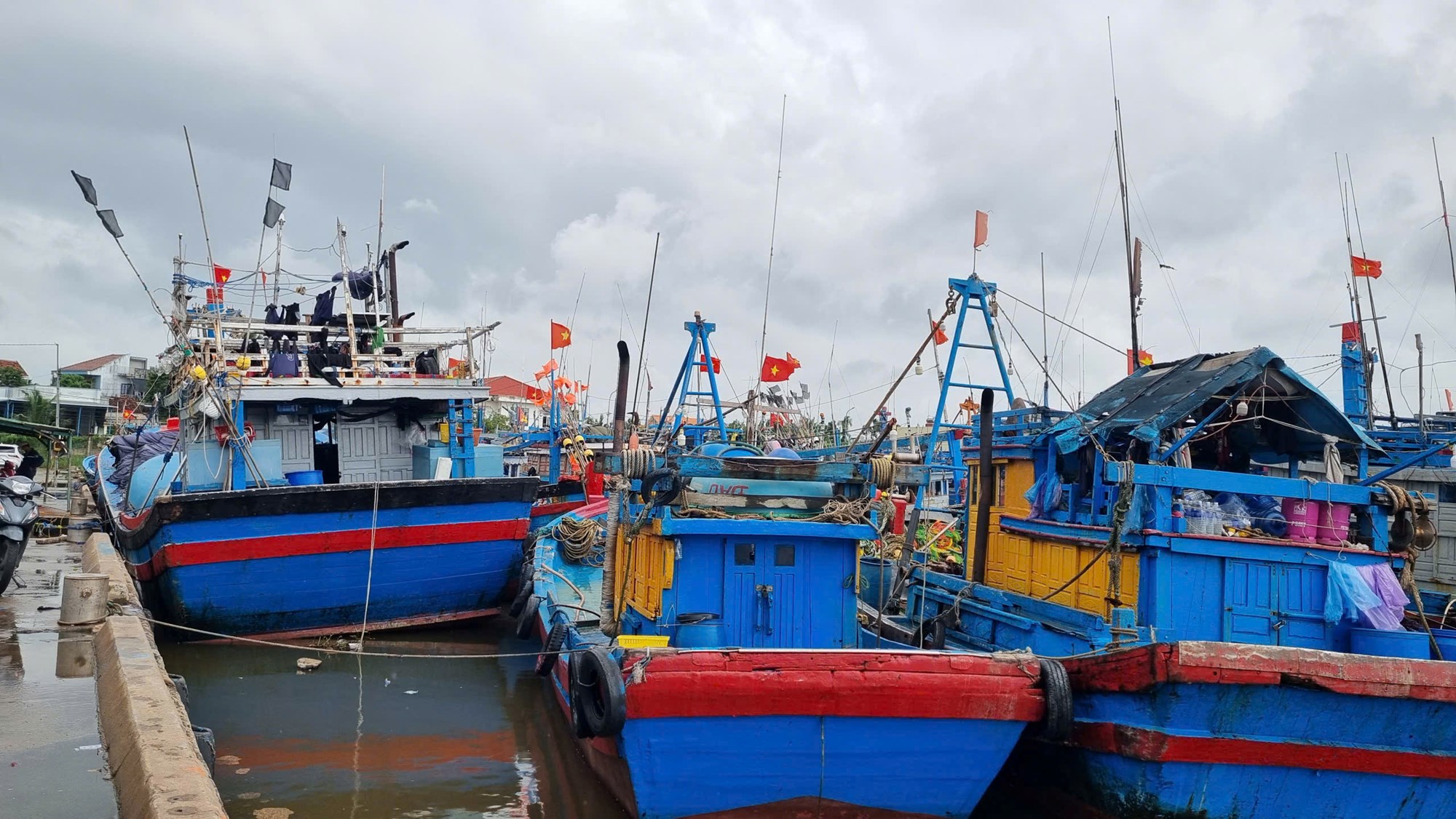Bảo đảm an toàn cho tàu cá tại nơi tránh trú bão Fengshen - ảnh 5